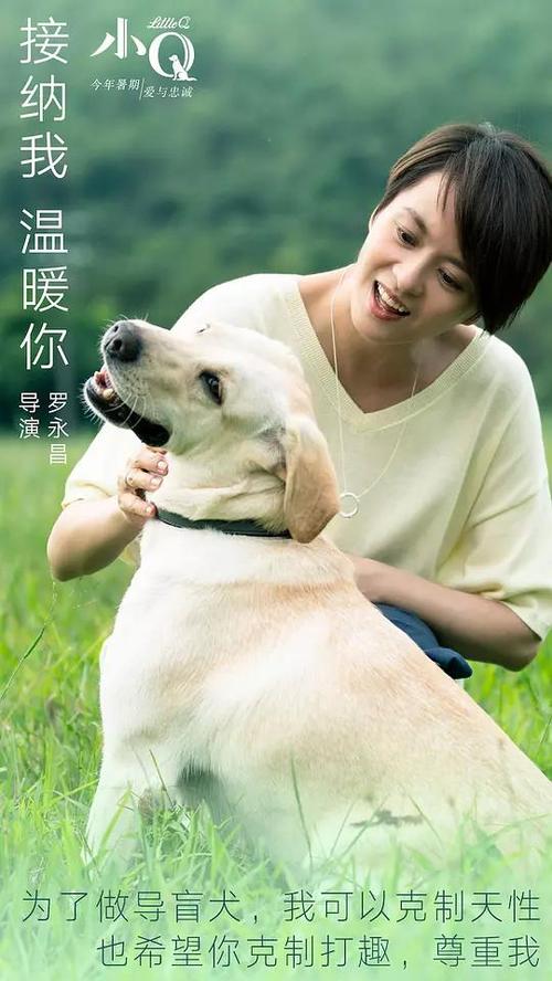 外国企业常驻代表证多少钱